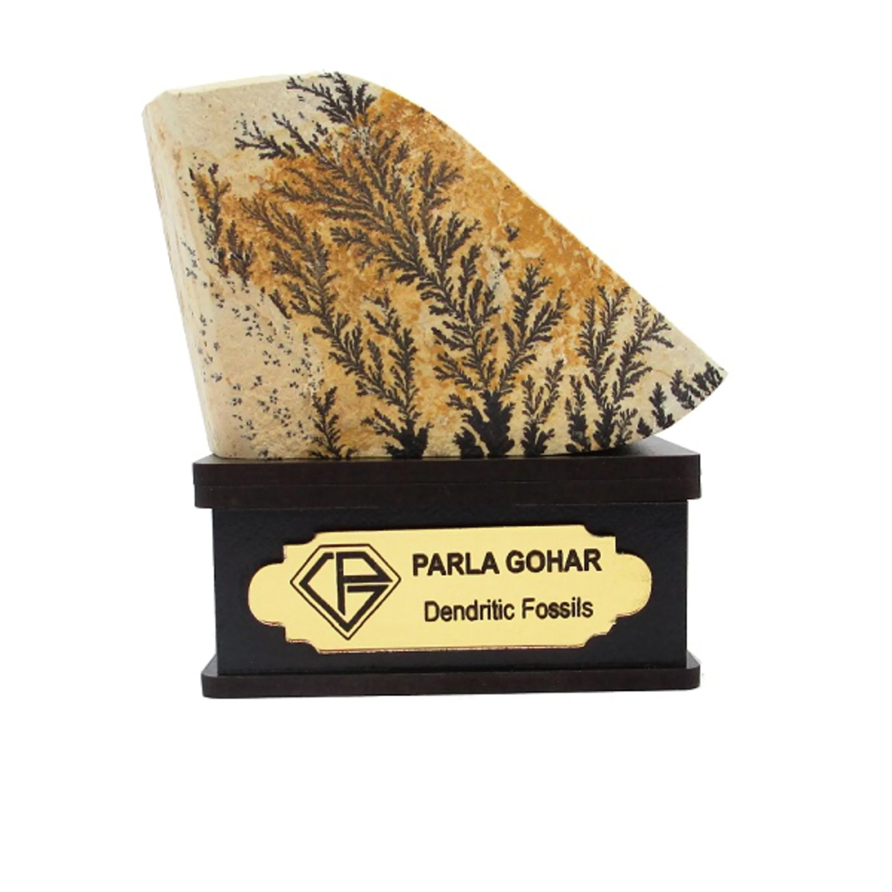 شجر راف کد 2373